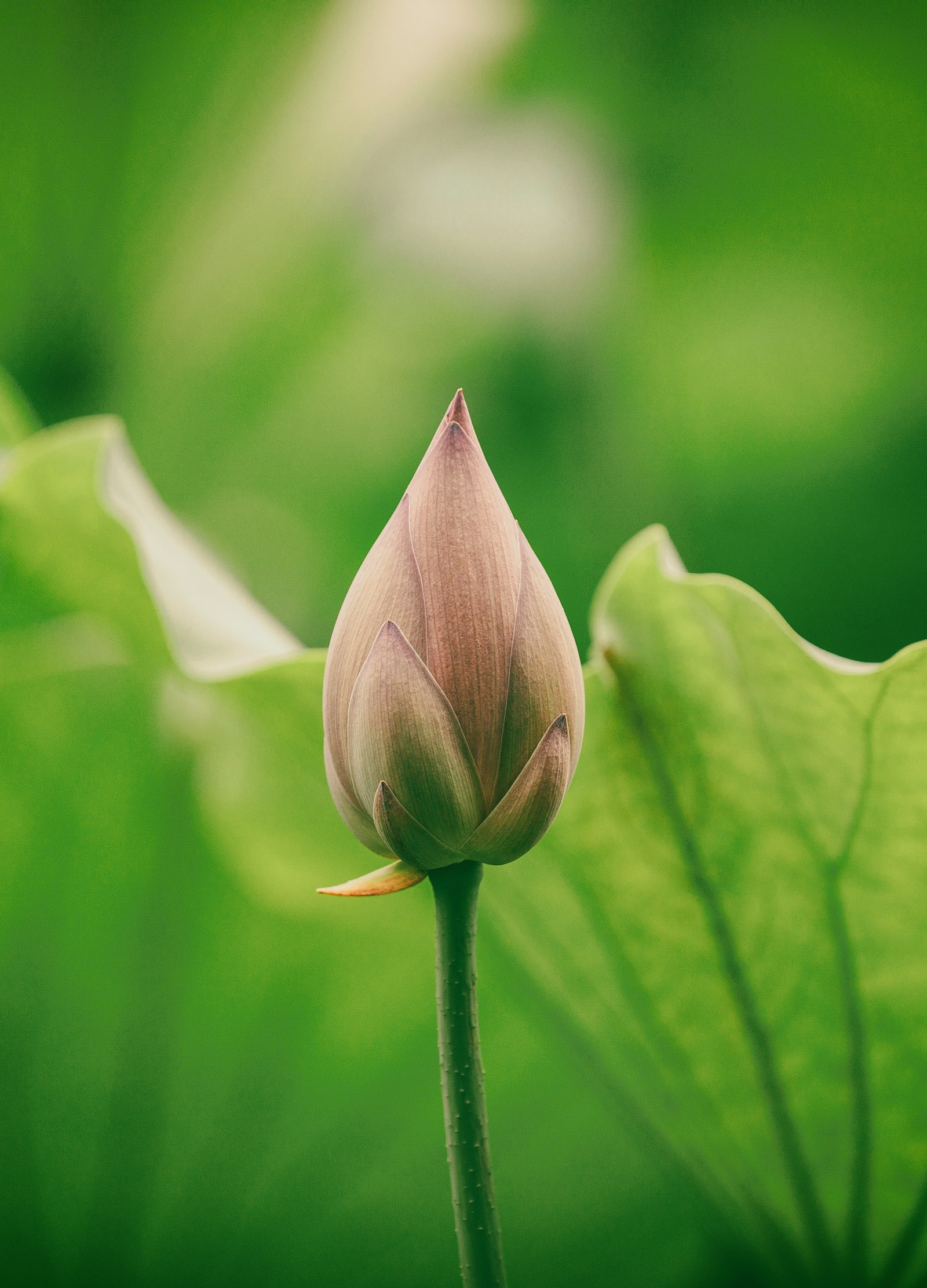 Understanding Your Fertility Journey